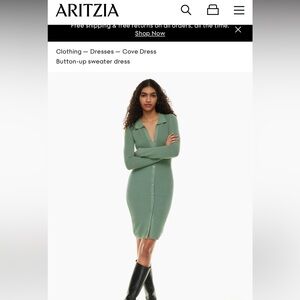 NWT Aritzia Wilfred Cove Dress